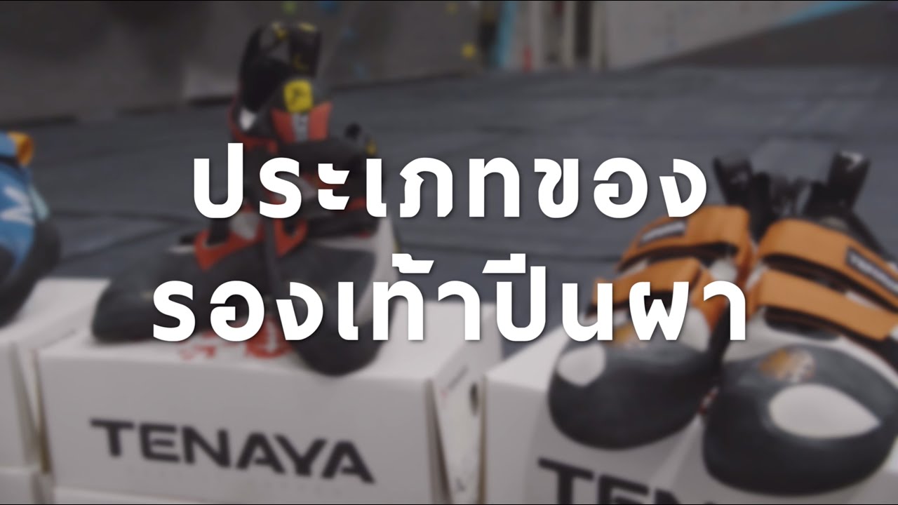 Shoe type ประเภทของรองเท้าปีนผา