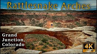 Arches of Rattlesnake Canyon | Epic Adventure, No Crowds! | Grand Junction, CO [4K UHD]