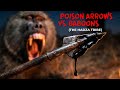 Deadly Night Hunt Poison Arrows vs  Baboons The