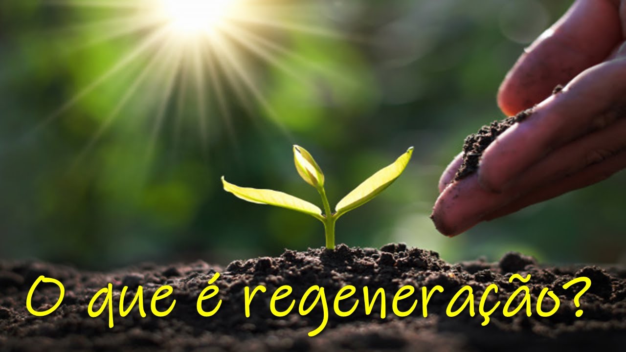 Significado De Regeneração Na Bíblia - NAZAEDU