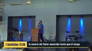 De la caida a la gloria