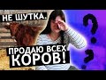 Я ПОТЕРЯЛА РЕБЕНКА И ПРОДАЮ ТЕПЕРЬ КОРОВ😢