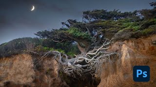 FULL Photoshop Edit of a Tree (feat. Sky Replacement) screenshot 2