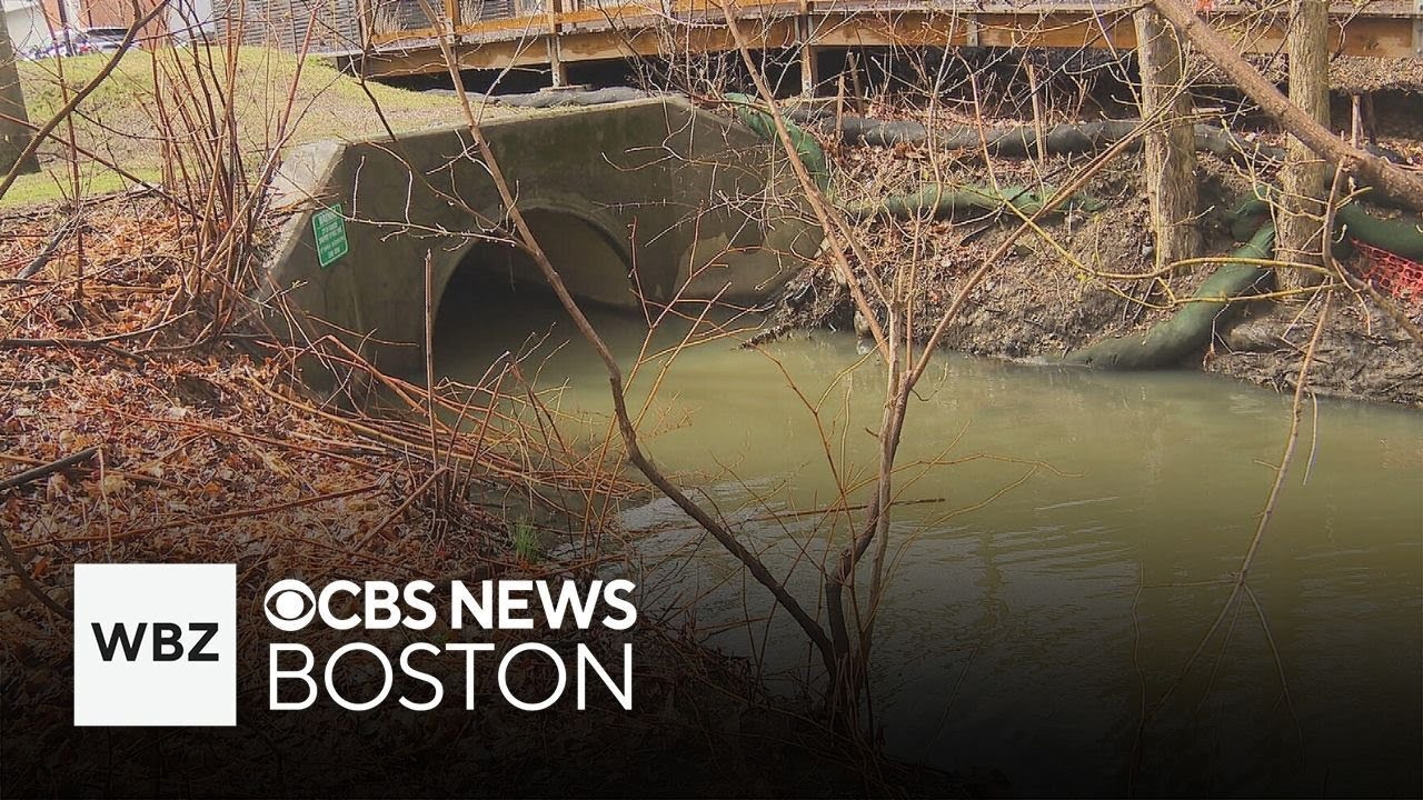 Why dirty water is still a problem for rivers, brooks in Greater Boston