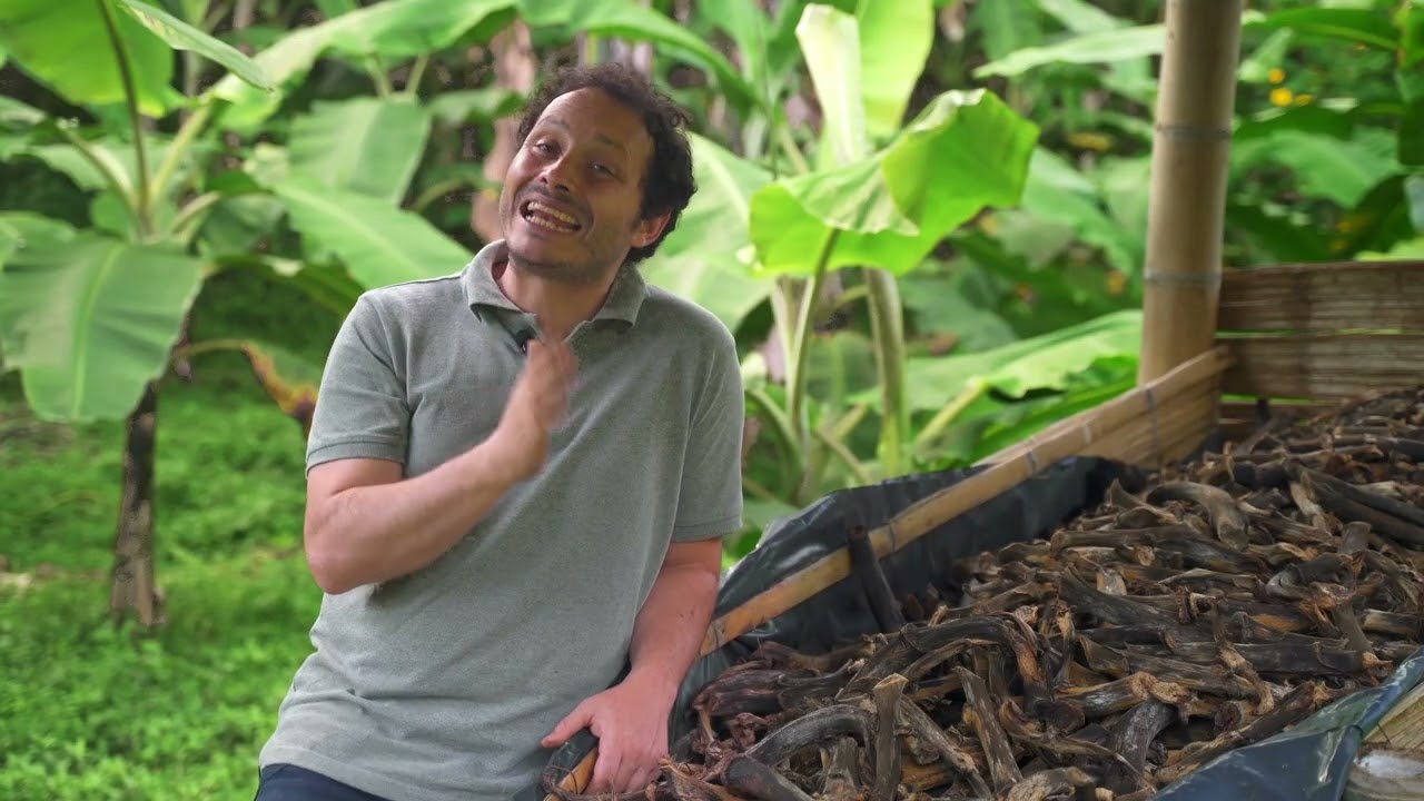 M2L5 Regeneración Suelos - Curso Introducción Agricultura Regenerativa