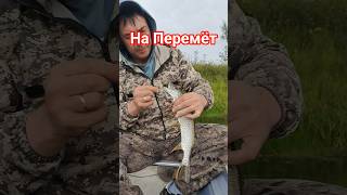 На Перемёт.
