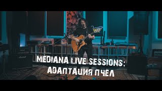 картинка: Mediana live sessions: Адаптация Пчёл