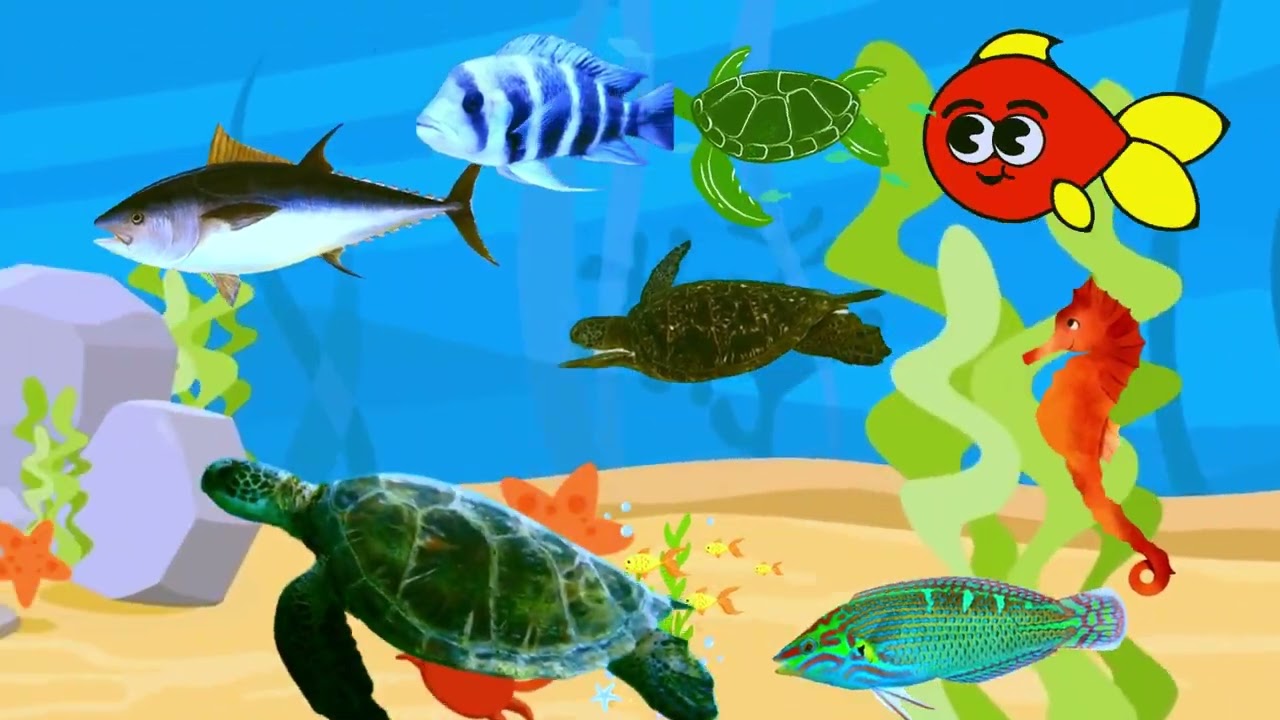 Abraham Hicks - Great Message Abraham talks about Humans Wanting to Control Everything