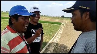 Download Lagu calo parebut komisi  ngajual sawah MP3