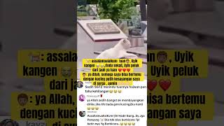 Masyaallah, kucing ini berdoa di Pusara tuannya ￼ karena rindu❤️#cat  #catshorts  #kucing  #animals
