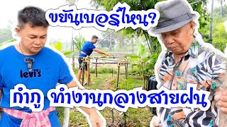 พ่อลูกขยันมาก กำภู-พ่อแหวงทำสวนกลางสายฝน #บ้านสวนกำภูEP841