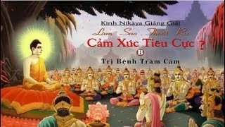 Kinh NIKAYA Giảng Giải - Làm Sao Thoát Ra Cảm Xúc Tiêu Cực ( B ) - Trị Bệnh Trầm Cảm