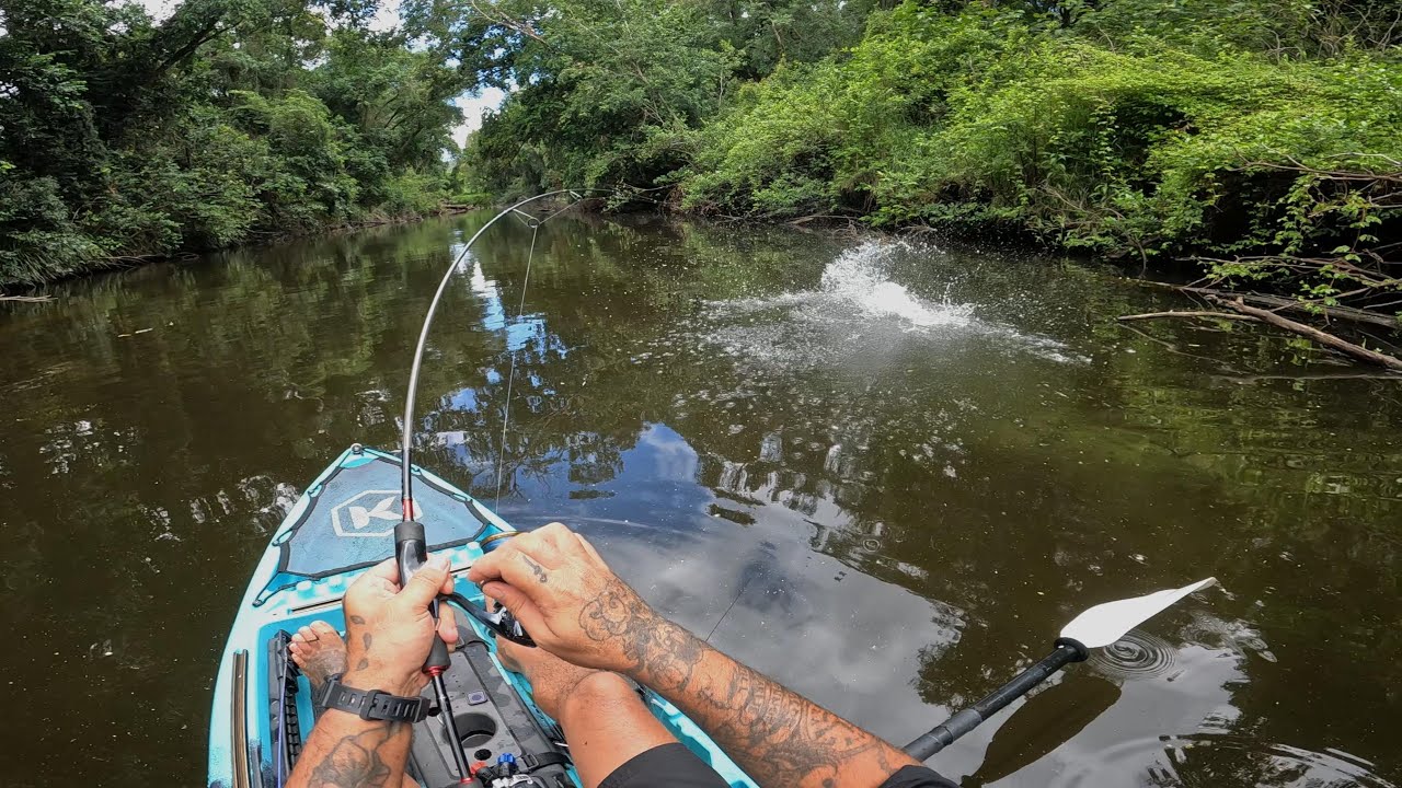 CRAZY MARY RIVER COD BATTLE!! // SNAGS & INSANITY // SUNSHINE COAST FRESHWATER FISHING