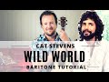 Cat Stevens | Wild World | Baritone Ukulele Tutorial | Chords + Strumming + Play Along