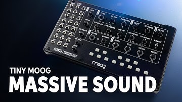 Moog Mavis Semi-modular Analog Synthesizer Kit Demo — Daniel Fisher