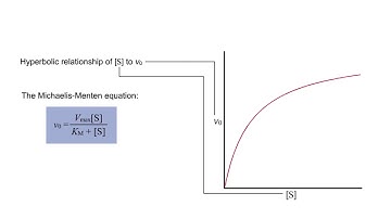 Kinetic parameters & Kinetic experiment