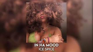 in ha mood - ice spice [sped up]