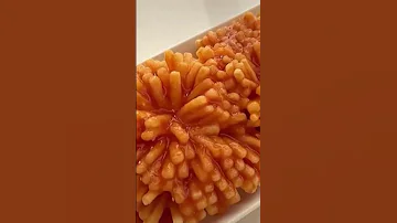ساويت قهوة لولد عمي وتفلت فيها قصص قصص واقعية سبوت لايت سبوتلايت قصص اطفال 