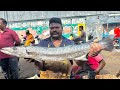 KASIMEDU SPEED SELVAM ❤️‍🔥😱BIG SIZE BARRACUDA FISH CUTTING VIDEO FISHERMAN ENTERTAINMENT VIDEOS