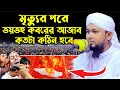 হাফেজ মাওলানা আবু হানিফ আনোয়ারীMaulana Abu Hanif Anwari