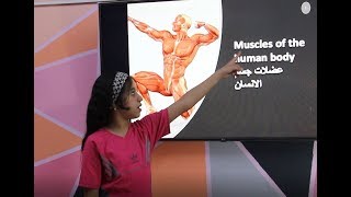 Human body muscles (عضلات جسم الإنسان)