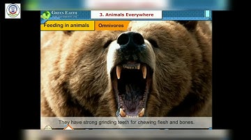 03 SEPT 2021, #std 5 #SCIENCE - ch 3 animals everywhere ANIMATION part 1