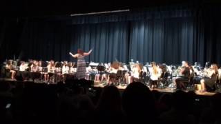 June 2017 Brookside Orchestra - ALDN