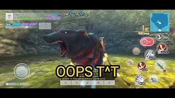 SAOIF BEGINNERS GUIDE: How to Daily Dungeon (DD) Bug