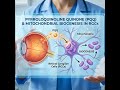 Pyrroloquinoline Quinone (PQQ) and Mitochondrial Biogenesis in RGCs