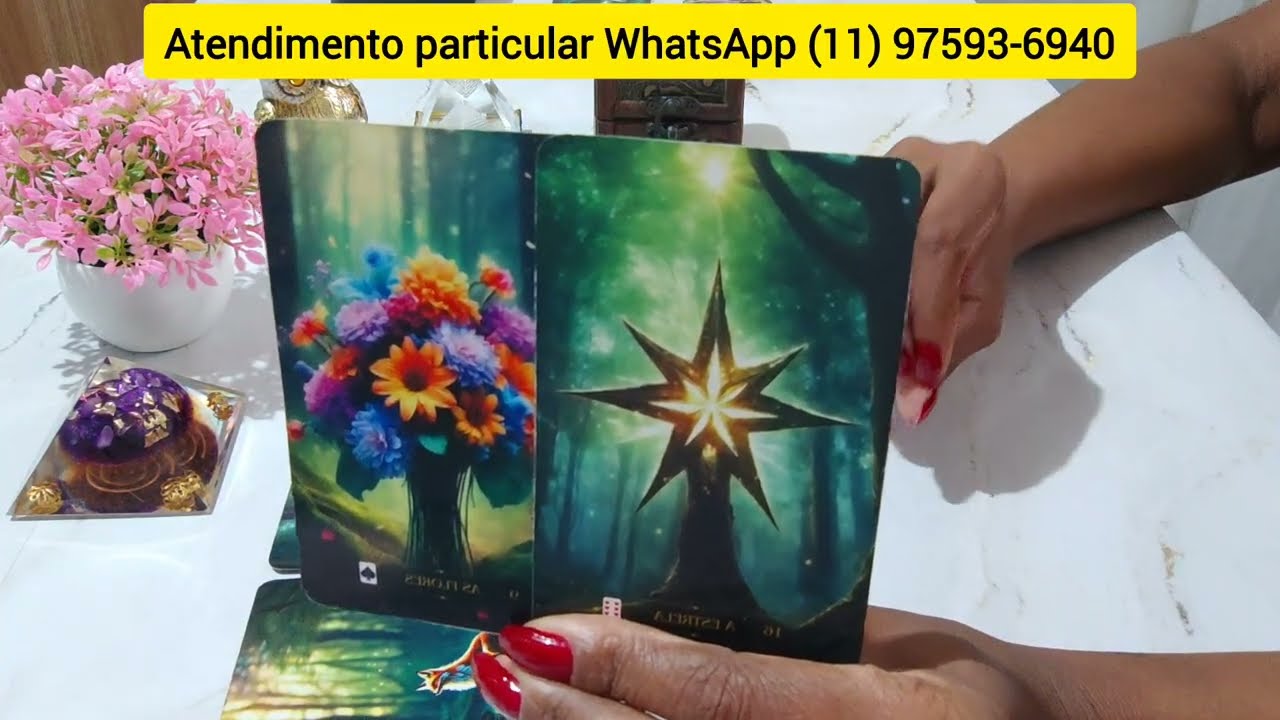 TOURO☀️JÁ VAI CHEGAR NA SUA CASA. O ZÉ POVINHO VAI TER QUE ENGOLIR SECO O SEU SUCESSO.