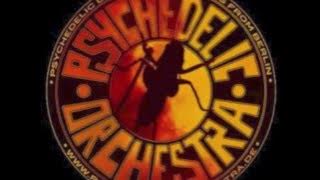 Psychedelic Orchestra - Sitar Jam (german psych 2011)