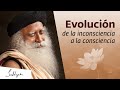 De la evolución inconsciente a la consciente | Sadhguru