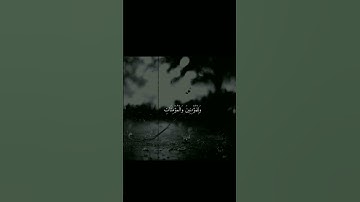 القرآن الكريم علي جابر سوره نوح❤.! #religion #viral #القرآن_الكريم #foryou #علي_جابر