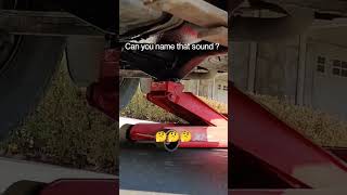 What is That Sound ??? #asmr