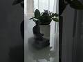 Рилсмейкер, видеомейкер, съёмка видео на заказ, видеограф, видеомейкер, волгоград