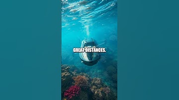 The Geopolitical Shift: Autonomous Underwater Transports