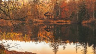 Indie Country Acoustic Music Beautiful Cabin Fall Foliage