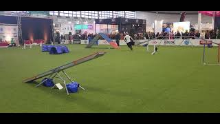 Deutsche Meisterschaft im Para Agility 2023 ... Joy