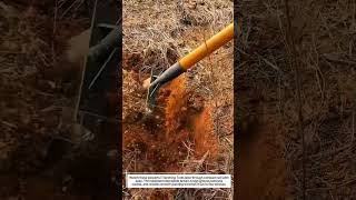 Heavy-Duty Trenching Tools – 20 cm Hardened Steel Hoe Cuts Compact Soil Faster