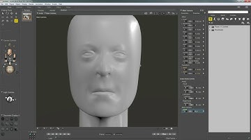 Poser Pro 11 Tutorial: Customizing the UI