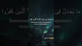 40:1-6 сура Гафир Surat Ghafir #ислам #коран #quran #islam