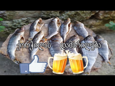 ქორჭილას დამარილება