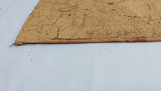 Secrets of Professional Carpet Cleaning Revealed: Watch the Magic Happen