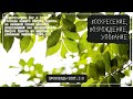 ВОСКРЕСЕНИЕ, ВОЗРОЖДЕНИЕ, УПОВАНИЕ // Пасхальная проповедь по 1Пет.1:3