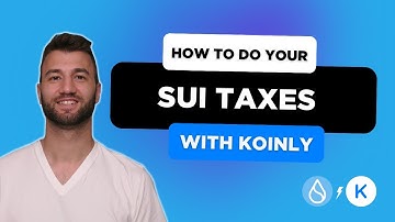 How To Do Your Sui Taxes FAST With Koinly