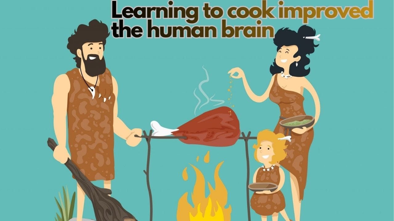 The Immense Impact of Learning to Cook on Human Brain Development - YouTube