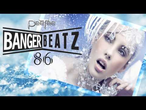 Electro & House Music 2016 New Dance Club Video Mix 86
