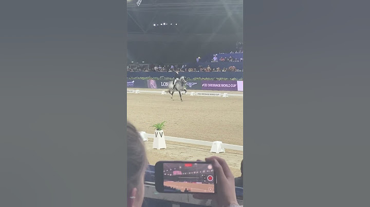 Nog van Jumping Amsterdam🤩het was echt zo’n knap paard!!!🤩🤩😍🤭🤩😍🤩🤗🥰🤩🤩💕😝💕🤭🥰🤭🤗🤩🤩