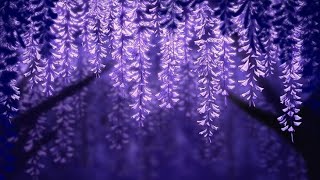 Mafia Gang React To... Itrapped Doublefedora Ichance Wip