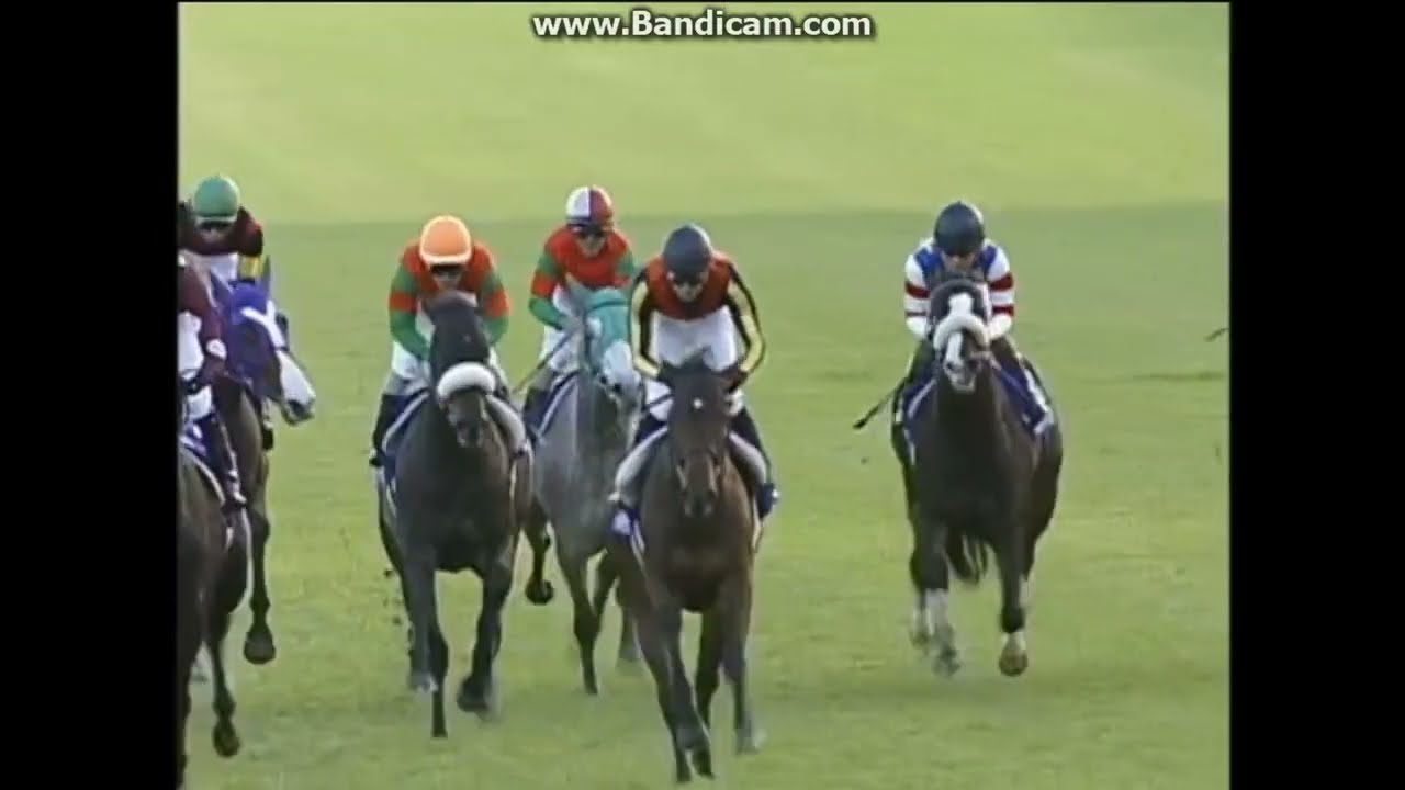 期限切れ単勝馬券】朝日フューチュリティ 2006 ドリームジャーニー